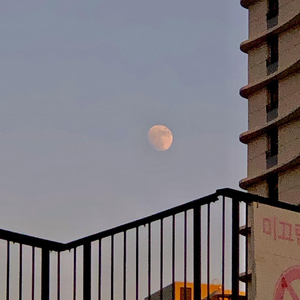 别告诉妈妈下载安装APP
