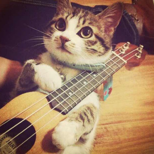 别告诉妈妈下载安装APP
